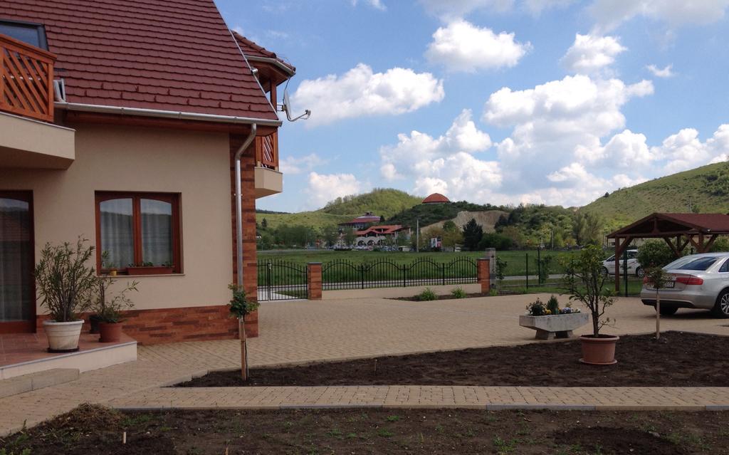 Vidor Vendeghaz Hotel Demjen Bagian luar foto